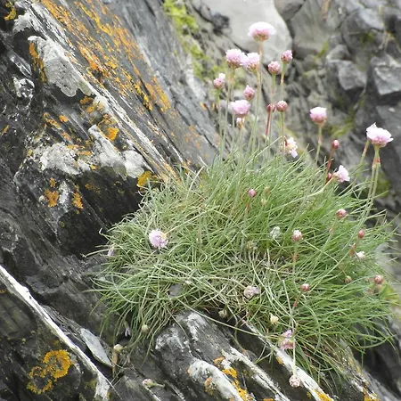 度假居 Les Hirondelles De La Baie Vains
