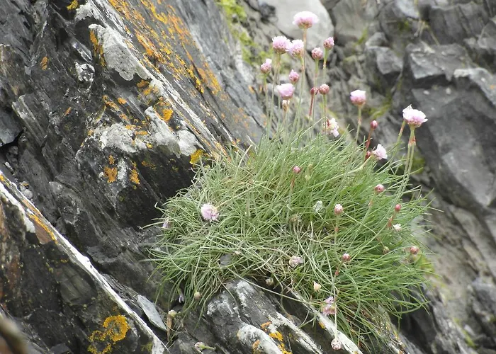 度假居 Les Hirondelles De La Baie Vains